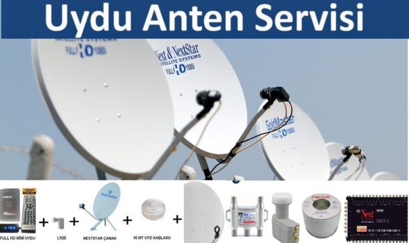 Yapraklı Antenci